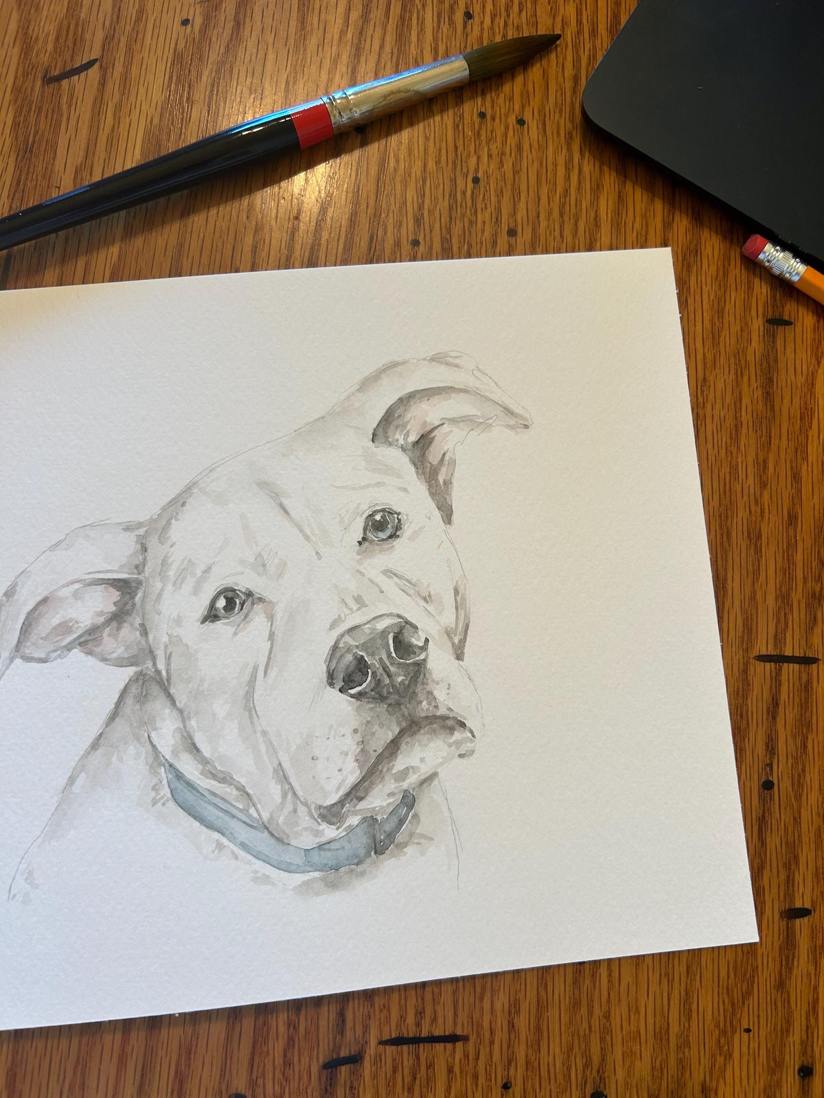 Watercolor pet portrait example